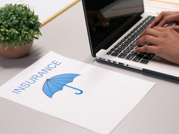 Assurance professionnelle : clé de la réussite freelance